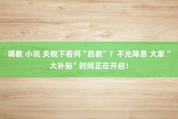 调教 小说 关税下若何“自救”？不光降息 大家“大补贴”时间正在开启！