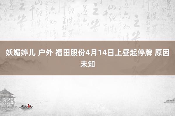 妖媚婷儿 户外 福田股份4月14日上昼起停牌 原因未知