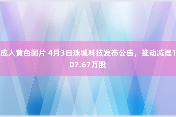 成人黄色图片 4月3日珠城科技发布公告，推动减捏107.67万股