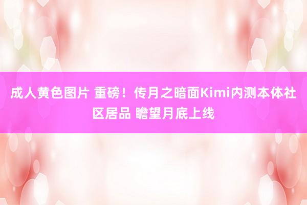 成人黄色图片 重磅！传月之暗面Kimi内测本体社区居品 瞻望月底上线