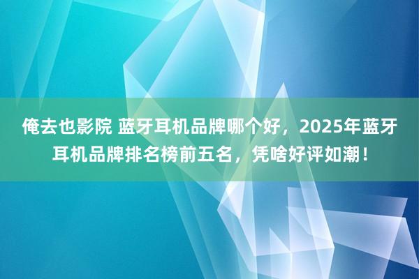 俺去也影院 蓝牙耳机品牌哪个好，2025年蓝牙耳机品牌排名榜前五名，凭啥好评如潮！