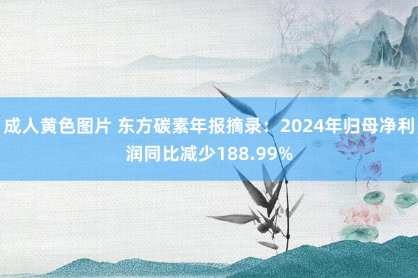 成人黄色图片 东方碳素年报摘录：2024年归母净利润同比减少188.99%