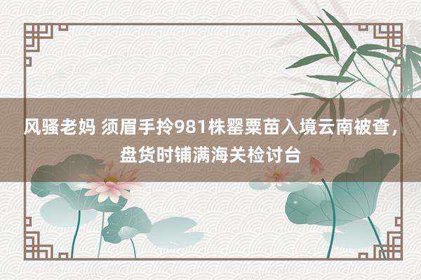 风骚老妈 须眉手拎981株罂粟苗入境云南被查，盘货时铺满海关检讨台