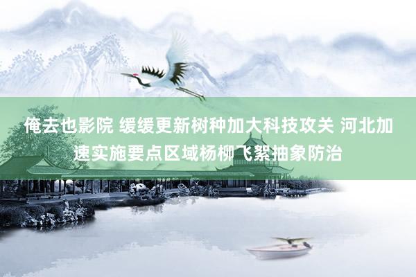 俺去也影院 缓缓更新树种加大科技攻关 河北加速实施要点区域杨柳飞絮抽象防治