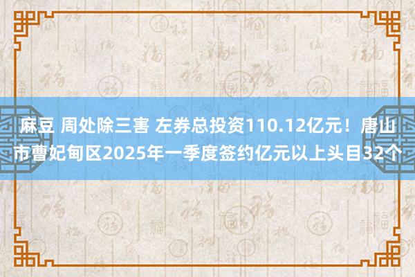 麻豆 周处除三害 左券总投资110.12亿元！唐山市曹妃甸区2025年一季度签约亿元以上头目32个