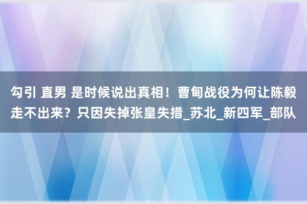 勾引 直男 是时候说出真相！曹甸战役为何让陈毅走不出来？只因失掉张皇失措_苏北_新四军_部队