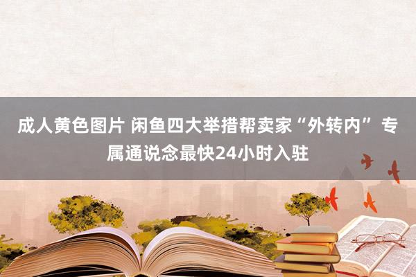 成人黄色图片 闲鱼四大举措帮卖家“外转内” 专属通说念最快24小时入驻
