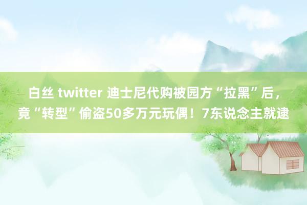 白丝 twitter 迪士尼代购被园方“拉黑”后，竟“转型”偷盗50多万元玩偶！7东说念主就逮