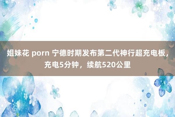 姐妹花 porn 宁德时期发布第二代神行超充电板，充电5分钟，续航520公里