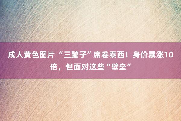 成人黄色图片 “三蹦子”席卷泰西！身价暴涨10倍，但面对这些“壁垒”