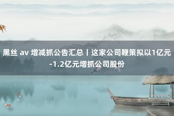 黑丝 av 增减抓公告汇总丨这家公司鞭策拟以1亿元-1.2亿元增抓公司股份