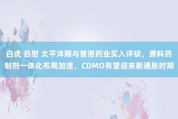 白虎 自慰 太平洋赐与普洛药业买入评级，原料药制剂一体化布局加速，CDMO有望迎来新通胀时期