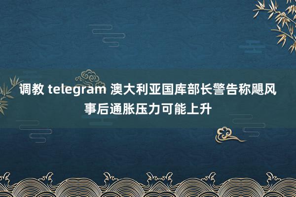 调教 telegram 澳大利亚国库部长警告称飓风事后通胀压力可能上升