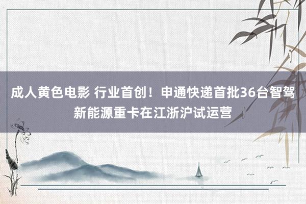 成人黄色电影 行业首创！申通快递首批36台智驾新能源重卡在江浙沪试运营
