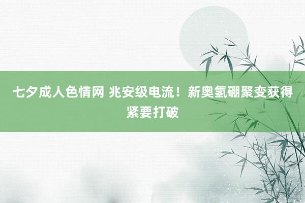 七夕成人色情网 兆安级电流！新奥氢硼聚变获得紧要打破