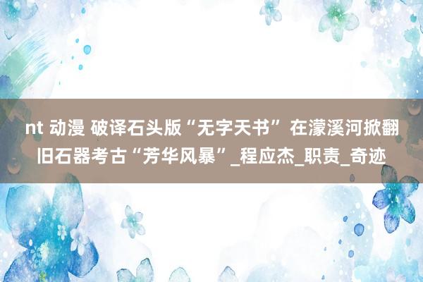 nt 动漫 破译石头版“无字天书” 在濛溪河掀翻旧石器考古“芳华风暴”_程应杰_职责_奇迹