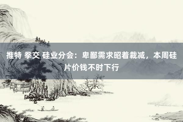 推特 拳交 硅业分会：卑鄙需求昭着裁减，本周硅片价钱不时下行