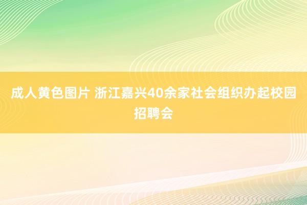 成人黄色图片 浙江嘉兴40余家社会组织办起校园招聘会