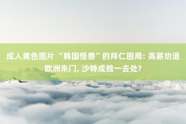 成人黄色图片 “韩国怪兽”的拜仁困局: 高薪劝退欧洲朱门， 沙特成独一去处?