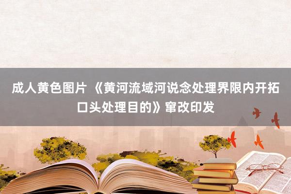 成人黄色图片 《黄河流域河说念处理界限内开拓口头处理目的》窜改印发