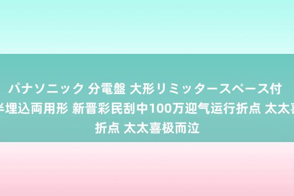 パナソニック 分電盤 大形リミッタースペース付 露出・半埋込両用形 新晋彩民刮中100万迎气运行折点 太太喜极而泣