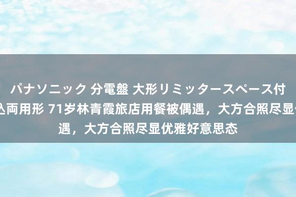 パナソニック 分電盤 大形リミッタースペース付 露出・半埋込両用形 71岁林青霞旅店用餐被偶遇，大方合照尽显优雅好意思态